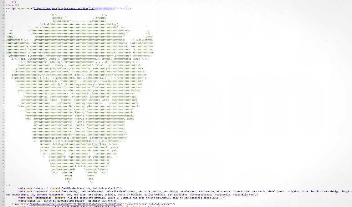 Buffalo ascii art in Buffalo Web Design HTML code